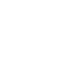 Carsurin Logo